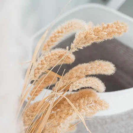 Perouser Wohlfuehloase Lägenhet